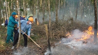 ラオスの風の中心にある森林を守る