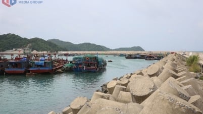 Gấp rút đầu tư, nâng cấp các khu neo đậu tránh trú bão cho tàu cá