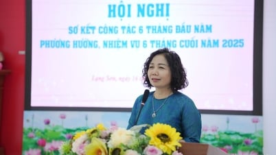 Hội Khuyến học tỉnh sơ kết công tác hội 6 tháng đầu năm