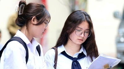 Khối C phải tự cứu mình trước nguy cơ bị hắt hủi