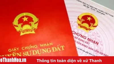Hồ sơ cấp sổ đỏ trước 1/7: Giải quyết theo thẩm quyền cũ hay mới?