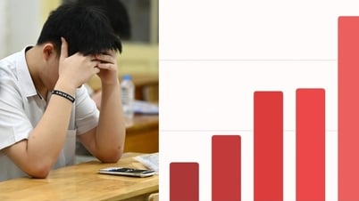 「1000億」の能力評価試験と組織の抜け穴に関する質問