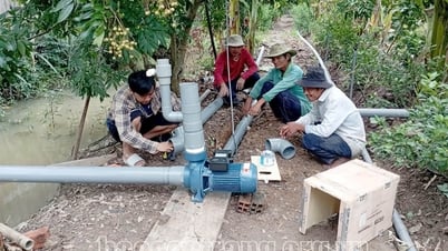 Đẩy mạnh phong trào thi đua “Cựu chiến binh giúp nhau giảm nghèo, làm kinh tế giỏi”