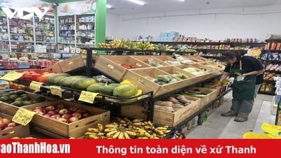 Hộ kinh doanh thu mua nông sản, đồ cũ, không có hóa đơn đầu vào: Xử lý thế nào?