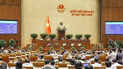 Thông qua luật Nhà giáo, xếp lương nhà giáo cao nhất, không cấm dạy thêm