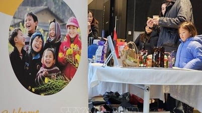 Enhancing understanding and cultural exchange between Vietnam and Australia