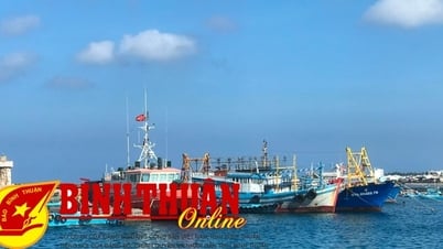 Phu Quy se centra en el desarrollo de la economía marina