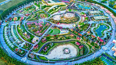 Khám phá vườn hoa Miracle Dubai: Kiệt tác hoa rực rỡ giữa lòng sa mạc