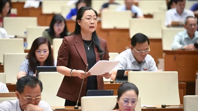 Civil servants and civil servants are expected to be able to participate in peacekeeping forces.