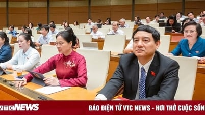 Lương giáo viên được xếp cao nhất hệ thống và không cấm dạy thêm từ năm 2026