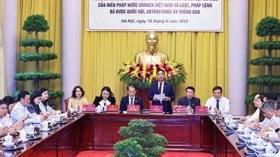 Công bố Lệnh của Chủ tịch nước về Nghị quyết sửa đổi, bổ sung một số điều của Hiến pháp, Luật Tổ chức chính quyền địa phương (sửa đổi)