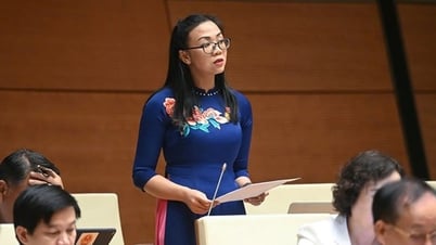 Đại biểu Quốc hội: Chặn "lạm thu" khi thực hiện miễn học phí trên cả nước