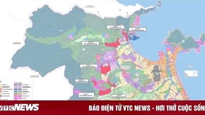 Thủ tướng quyết định thành lập khu thương mại tự do đầu tiên của Việt Nam