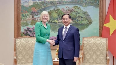 Phó Thủ tướng, Bộ trưởng Ngoại giao Bùi Thanh Sơn tiếp Đại sứ Australia tại Việt Nam Gillian Bird