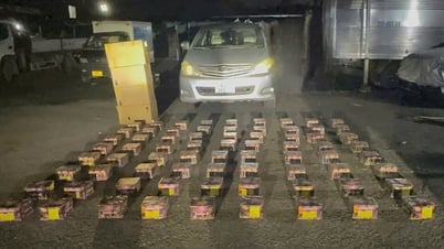 Chống buôn lậu, hàng giả 16-6: Khởi tố tài xế chở 120kg pháo lậu