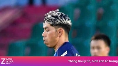 Vリーグの降格争いは最終ラウンドまでドラマチック