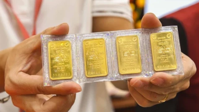 Two domestic gold brands increased by 500,000 VND in the first session of the week.