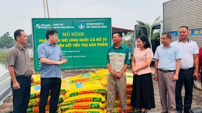 Trung tâm Khuyến nông quốc gia xây dựng mô hình nuôi cá, gà tại Hải Dương