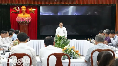 Without innovation in site clearance, many Dong Nai projects will remain 'on paper'