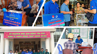 Đồng Tháp ghi nhận lượng tên miền .vn tăng trưởng gấp 40 lần