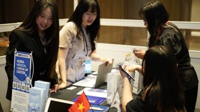 Vietnamese tourists going to Korea for beauty treatments skyrocketed, maintaining top 6 position