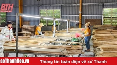 Phát triển bền vững, nâng tầm giá trị tre, luồng