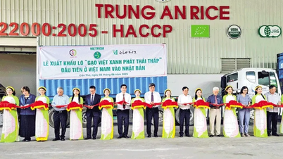 Bước tiến mới của ngành hàng lúa gạo Việt Nam trên thị trường xuất khẩu