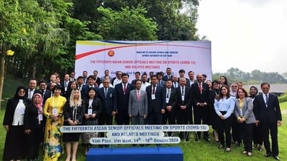 Ban hành Kế hoạch công tác chuẩn bị và tổ chức Hội nghị Bộ trưởng ASEAN về Thể thao lần thứ 8 và các Hội nghị liên quan