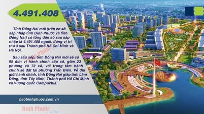 Sau sáp nhập, tỉnh Đồng Nai mới có 4.491.408 người