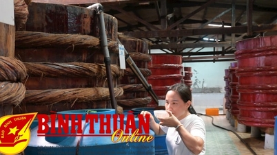 Binh Thuan mejora y diversifica los productos de OCOP