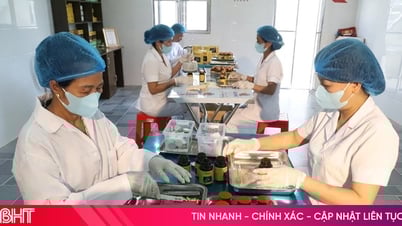The first herbal deer antler capsule in Huong Son achieved 3-star OCOP