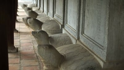 Tổ chức các lớp đào tạo, bồi dưỡng, tập huấn nâng cao về nhận diện, kiểm kê, ghi danh di sản tư liệu