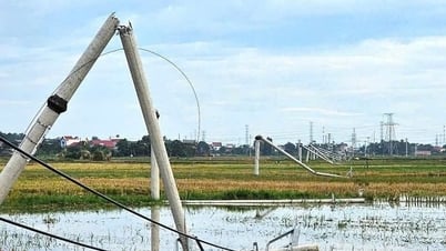បង្គោល​អគ្គិសនី​ជា​បន្តបន្ទាប់​នៅ​ខេត្ត Thanh Hoa ត្រូវ​បាន​បាក់​បែក​ខ្ចាត់ខ្ចាយ បន្ទាប់​ពី​ខ្យល់​ព្យុះ។