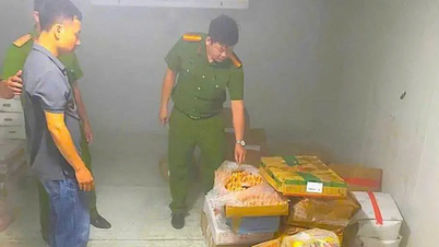Đà Nẵng phát hiện gần 3,5 nội tạng không rõ nguồn gốc