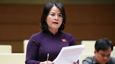 Đề xuất sớm tăng lương cho công chức tỉnh, xã sau sắp xếp bộ máy
