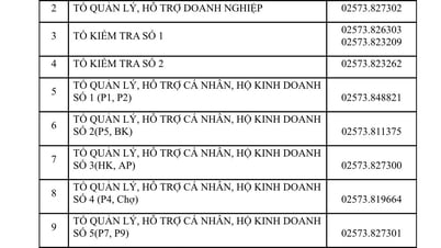 Tái diễn tình trạng giả danh cán bộ thuế để lừa đảo