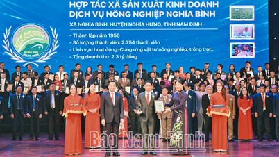 Coopérative de production agricole, d'affaires et de services de Nghia Binh : des opérations innovantes pour un développement durable