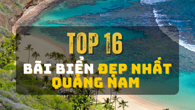 Top 16+ bãi biển đẹp nhất Quảng Nam để đi du lịch hè