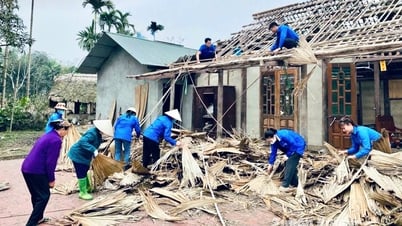 貧困世帯のための住宅建設に若者の努力を貢献する