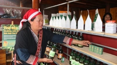 Kiến nghị xây dựng Cổng thông tin về phụ nữ khởi nghiệp