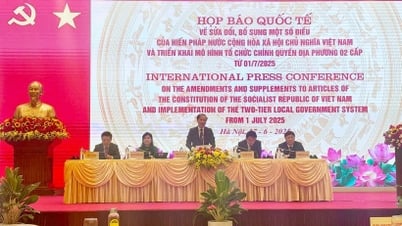International press conference on amending and supplementing the Constitution and implementing the two-level local government organization model