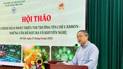 ការបង្កើតទីផ្សារឥណទានកាបូន៖ ទាមទារស្ថាប័នរឹងមាំ