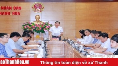 Vận hành thử nghiệm hội nghị giao ban trực tuyến công tác xóa nhà tạm, nhà dột nát