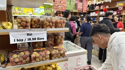 Bac Giang litchi conquers European consumers