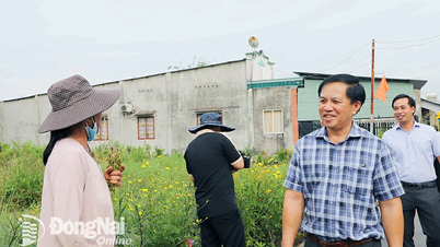 Dong Nai has 100 model residential areas