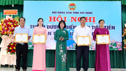 Phong trào thi đua yêu nước của nông dân tỉnh nhà không ngừng đổi mới, phát triển