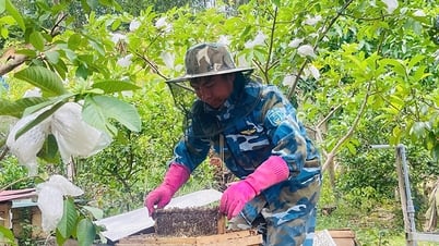 Mùa mật ngọt ở vùng cao