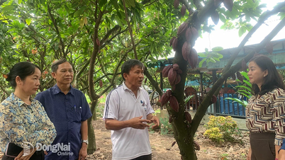 Nông dân đóng góp hơn 18 ngàn ngày công