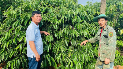 ចំណុចភ្លឺក្នុងចលនាសិក្សា និងធ្វើតាមគំរូរបស់ពូ