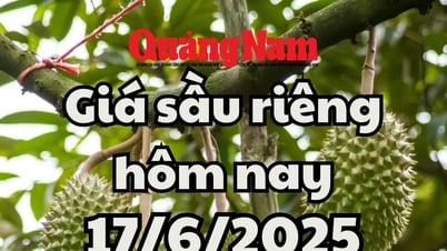 ราคาทุเรียนวันนี้ 17 มิ.ย. 68 : ทุเรียนพันธุ์มูซังคิงและไทยปรับราคาขึ้น